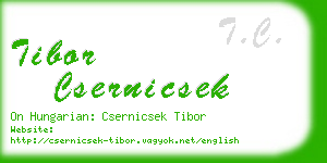 tibor csernicsek business card
